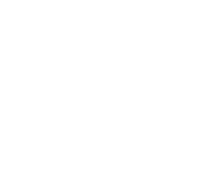 Disc metoda